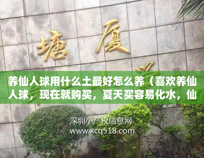养仙人球用什么土最好怎么养（喜欢养仙人球，现在就购买，夏天买容易化水，仙人球也不好养）