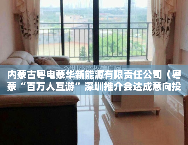 内蒙古粤电蒙华新能源有限责任公司（粤蒙“百万人互游”深圳推介会达成意向投资216亿元）