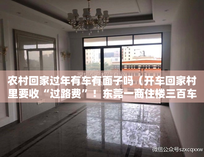 农村回家过年有车有面子吗（开车回家村里要收“过路费”！东莞一商住楼三百车位被迫闲置两年）