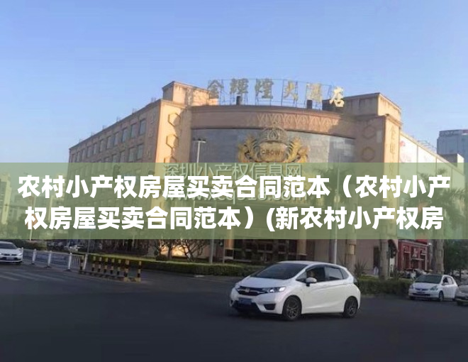 农村小产权房屋买卖合同范本（农村小产权房屋买卖合同范本）(新农村小产权房买卖合同模拟)