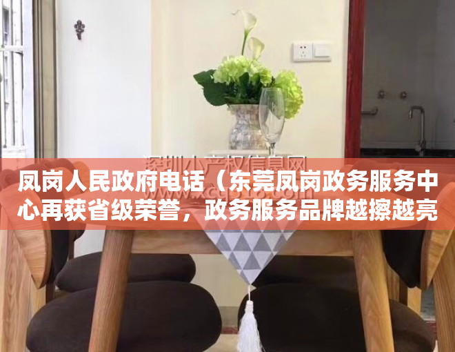 凤岗人民政府电话（东莞凤岗政务服务中心再获省级荣誉，政务服务品牌越擦越亮）