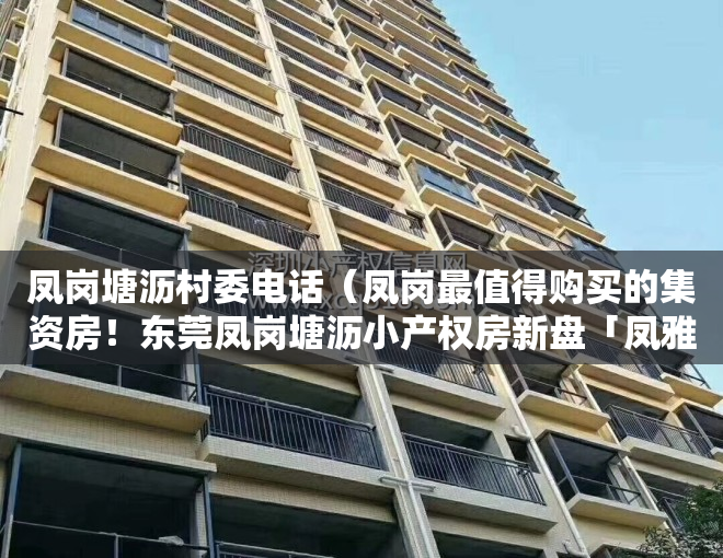 凤岗塘沥村委电话（凤岗最值得购买的集资房！东莞凤岗塘沥小产权房新盘「凤雅苑」2房48万一套出售，70年产权合作建房  户型方正大阳台南北通透）