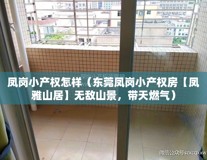 凤岗小产权怎样（东莞凤岗小产权房【凤雅山居】无敌山景，带天燃气）