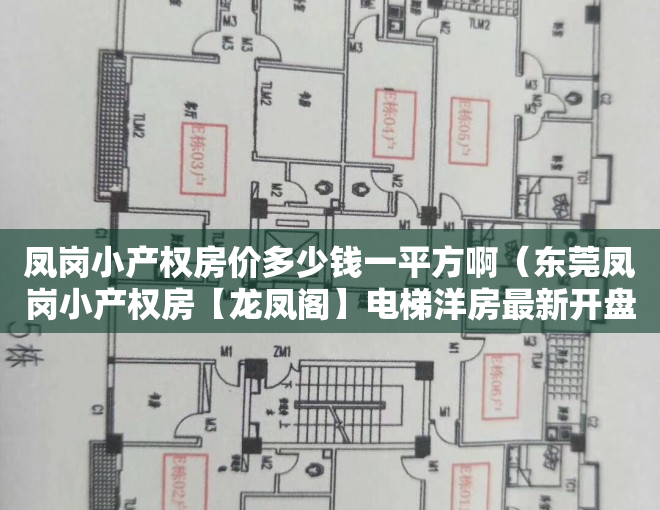 凤岗小产权房价多少钱一平方啊（东莞凤岗小产权房【龙凤阁】电梯洋房最新开盘 沃尔玛1公里）