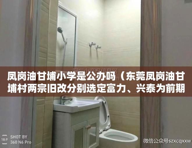 凤岗油甘埔小学是公办吗(东莞凤岗油甘埔村两宗旧改分别选定富力、兴泰为前期服务商)