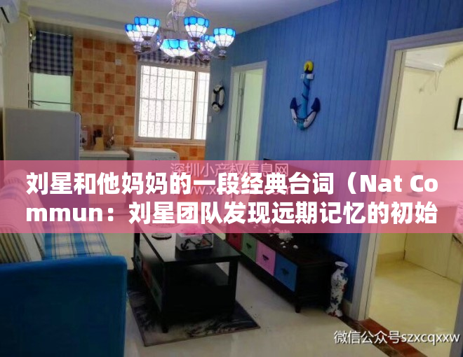 刘星和他妈妈的一段经典台词（Nat Commun：刘星团队发现远期记忆的初始标记和长期存储新机制）