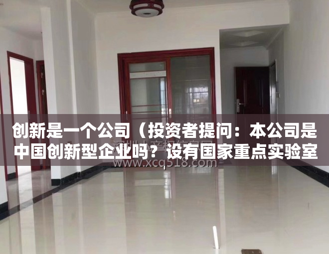 创新是一个公司（投资者提问：本公司是中国创新型企业吗？设有国家重点实验室没有？会引入深圳国）