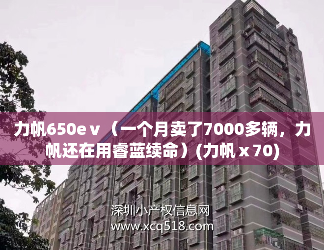 力帆650eⅴ（一个月卖了7000多辆，力帆还在用睿蓝续命）(力帆ⅹ70)