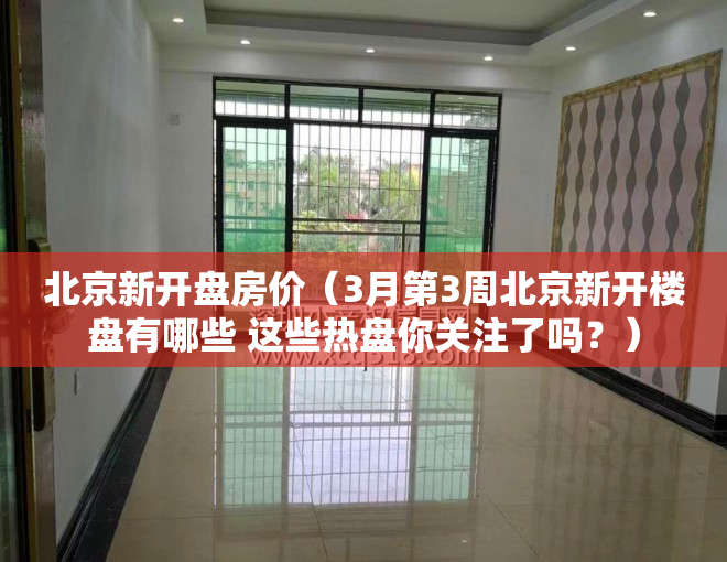 北京新开盘房价（3月第3周北京新开楼盘有哪些 这些热盘你关注了吗？）
