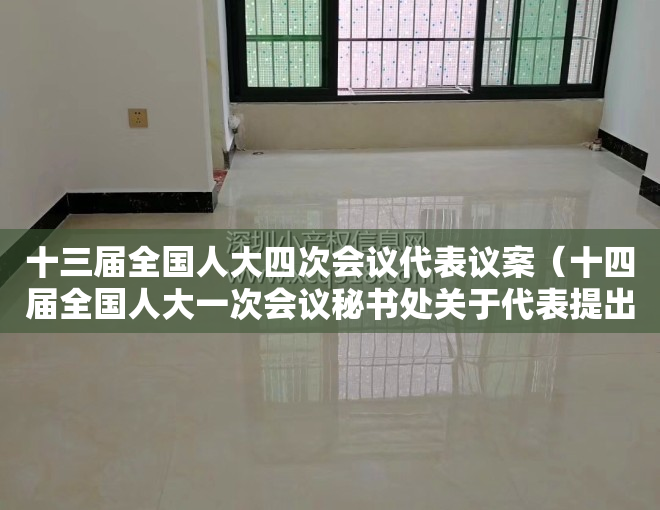 十三届全国人大四次会议代表议案（十四届全国人大一次会议秘书处关于代表提出议案处理意见的报告）