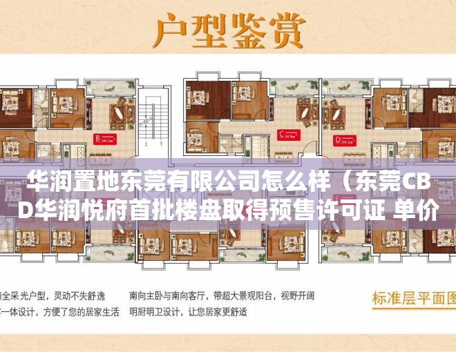 华润置地东莞有限公司怎么样（东莞CBD华润悦府首批楼盘取得预售许可证 单价最高63850元平）