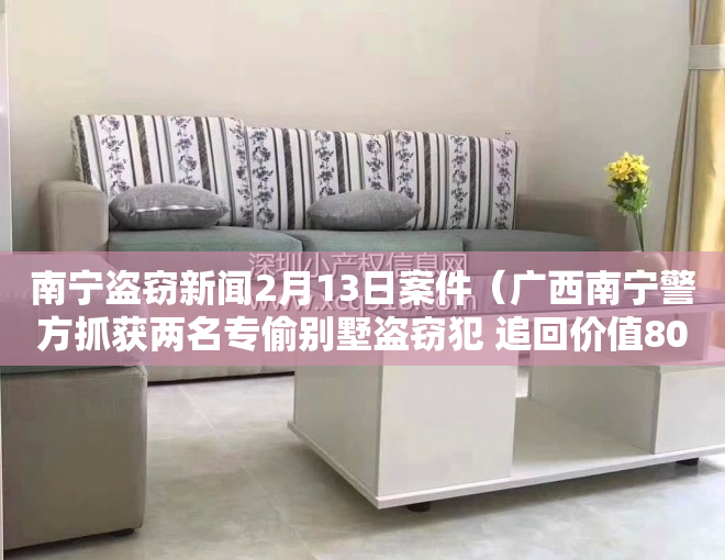 南宁盗窃新闻2月13日案件(广西南宁警方抓获两名专偷别墅盗窃犯 追回价值80万元名画、名酒)