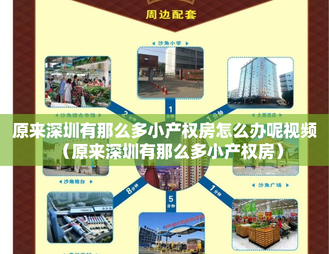 原来深圳有那么多小产权房怎么办呢视频（原来深圳有那么多小产权房）