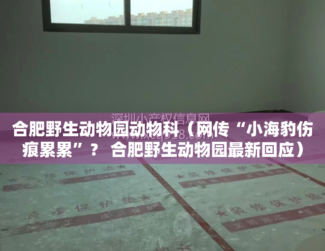 合肥野生动物园动物科（网传“小海豹伤痕累累”？ 合肥野生动物园最新回应）