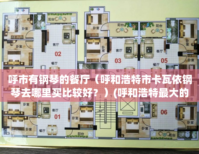 呼市有钢琴的餐厅（呼和浩特市卡瓦依钢琴去哪里买比较好？）(呼和浩特最大的琴行)