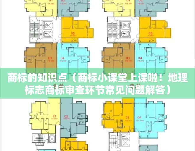 商标的知识点（商标小课堂上课啦！地理标志商标审查环节常见问题解答）