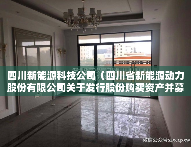 四川新能源科技公司（四川省新能源动力股份有限公司关于发行股份购买资产并募集配套资金暨关联交易申请获得深圳证券交易所受理的公告）