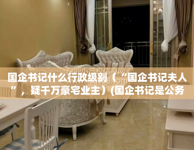 国企书记什么行政级别（“国企书记夫人”，疑千万豪宅业主）(国企书记是公务员吗)