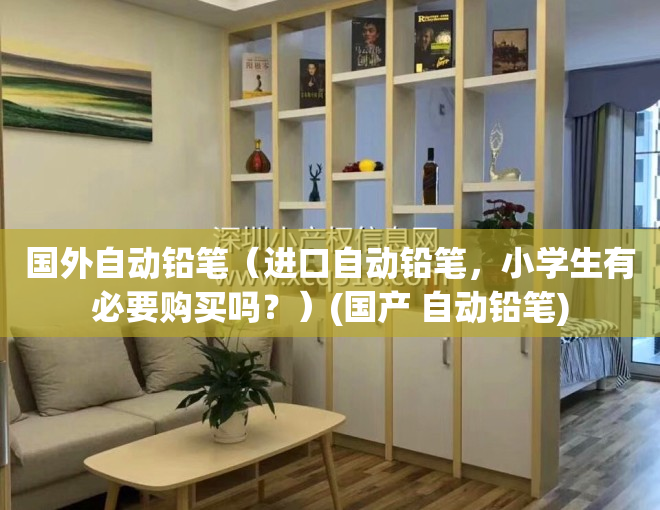 国外自动铅笔（进口自动铅笔，小学生有必要购买吗？）(国产 自动铅笔)