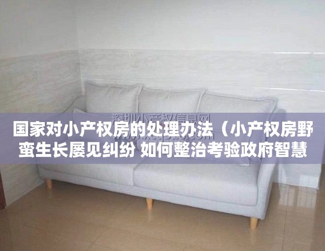 国家对小产权房的处理办法（小产权房野蛮生长屡见纠纷 如何整治考验政府智慧）