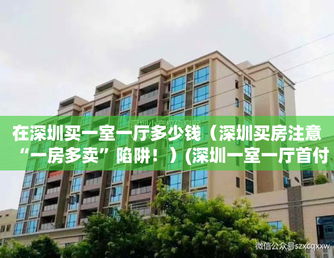 在深圳买一室一厅多少钱（深圳买房注意“一房多卖”陷阱！）(深圳一室一厅首付)