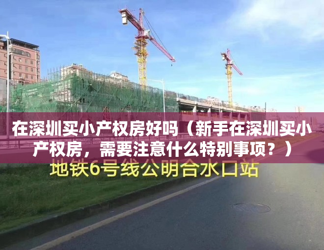 在深圳买小产权房好吗（新手在深圳买小产权房，需要注意什么特别事项？）