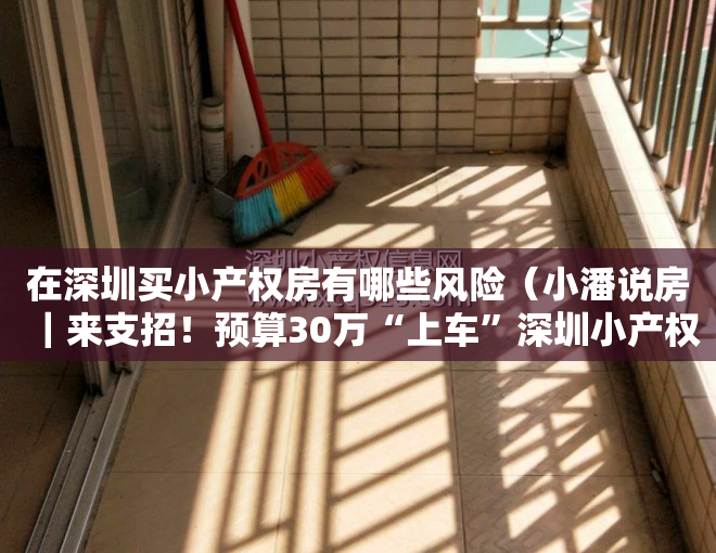 在深圳买小产权房有哪些风险（小潘说房｜来支招！预算30万“上车”深圳小产权还是东莞红本？）