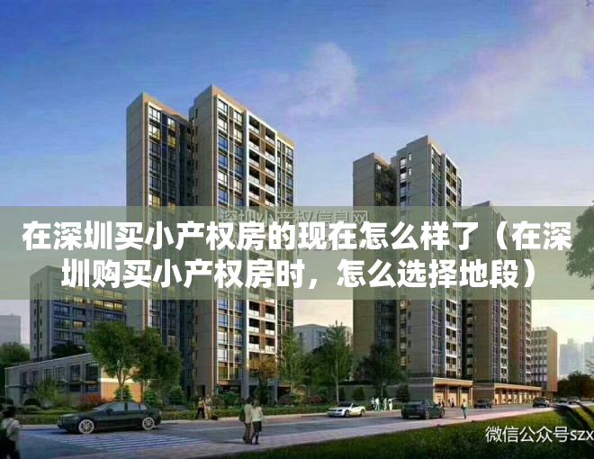在深圳买小产权房的现在怎么样了（在深圳购买小产权房时，怎么选择地段）