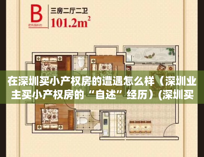 在深圳买小产权房的遭遇怎么样（深圳业主买小产权房的“自述”经历）(深圳买小产权房要什么条件)