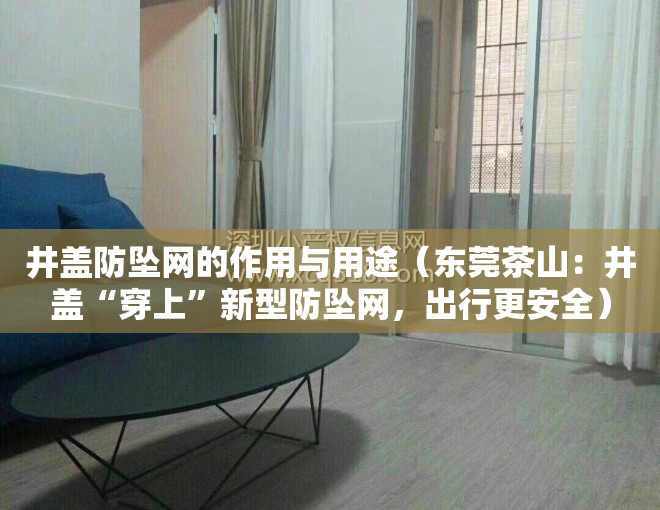 井盖防坠网的作用与用途（东莞茶山：井盖“穿上”新型防坠网，出行更安全）