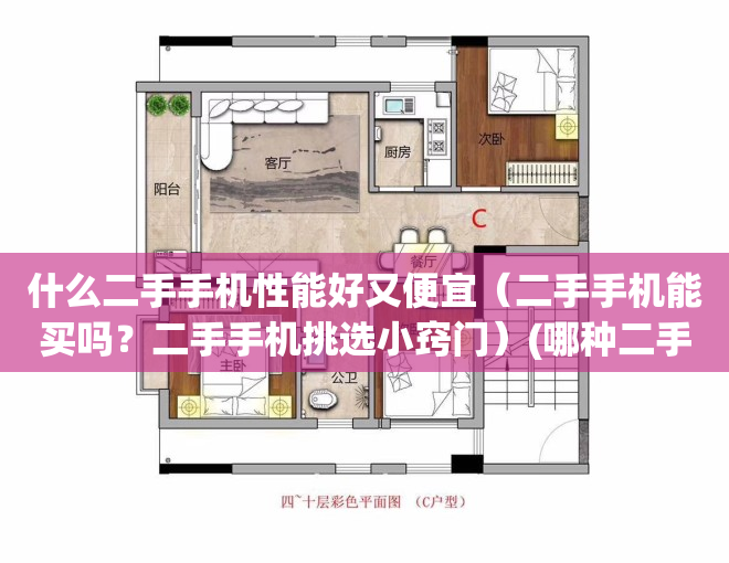 什么二手手机性能好又便宜（二手手机能买吗？二手手机挑选小窍门）(哪种二手手机好用实惠)