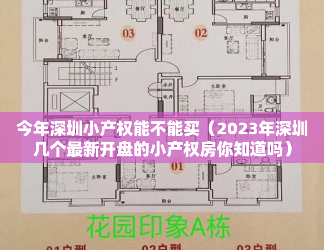 今年深圳小产权能不能买（2023年深圳几个最新开盘的小产权房你知道吗）