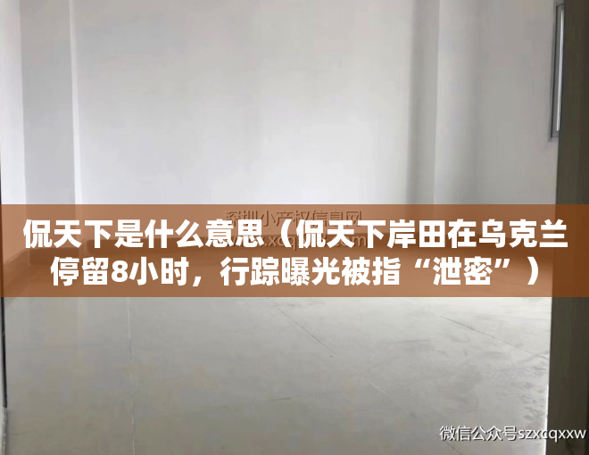 侃天下是什么意思（侃天下岸田在乌克兰停留8小时，行踪曝光被指“泄密”）