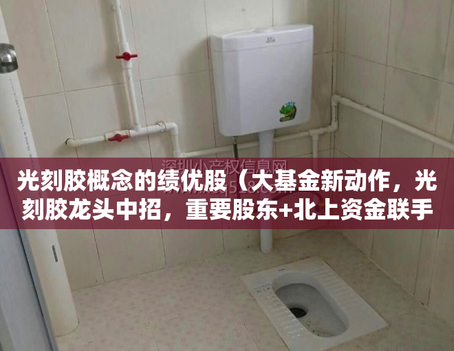 光刻胶概念的绩优股（大基金新动作，光刻胶龙头中招，重要股东+北上资金联手卖出这些股）