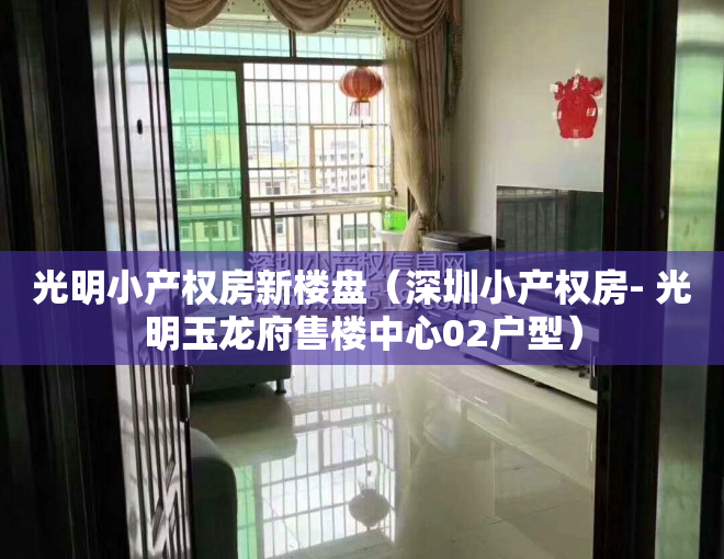 光明小产权房新楼盘（深圳小产权房- 光明玉龙府售楼中心02户型）