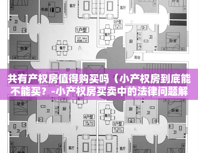 共有产权房值得购买吗（小产权房到底能不能买？-小产权房买卖中的法律问题解读）