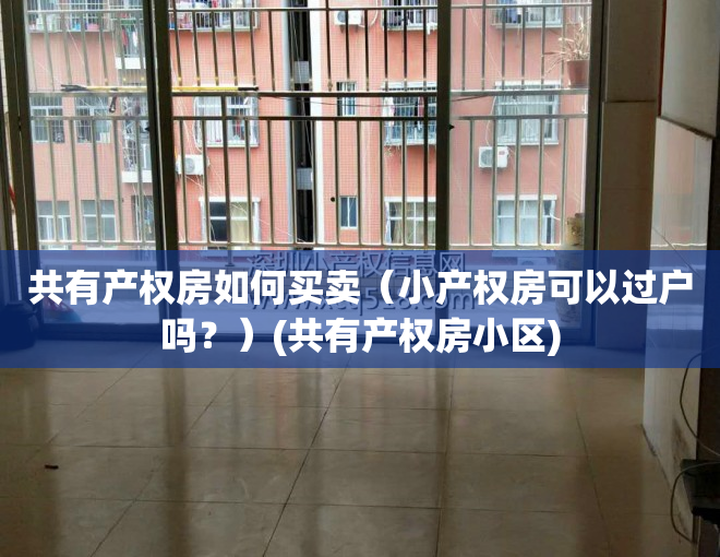 共有产权房如何买卖（小产权房可以过户吗？）(共有产权房小区)