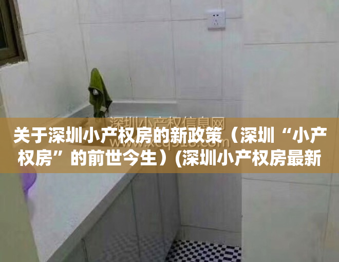 关于深圳小产权房的新政策（深圳“小产权房”的前世今生）(深圳小产权房最新政策2020两会)