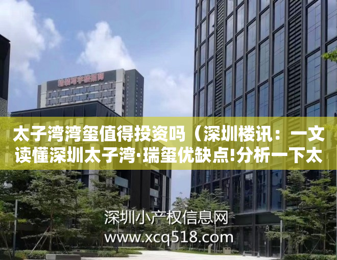 太子湾湾玺值得投资吗（深圳楼讯：一文读懂深圳太子湾·瑞玺优缺点!分析一下太子湾·瑞玺值得买吗）