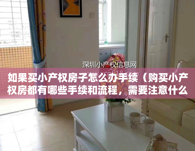 如果买小产权房子怎么办手续（购买小产权房都有哪些手续和流程，需要注意什么？）