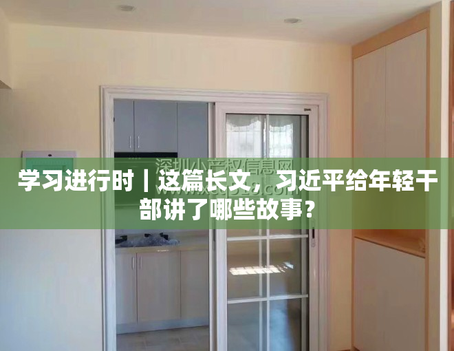 学习进行时｜这篇长文，习近平给年轻干部讲了哪些故事？