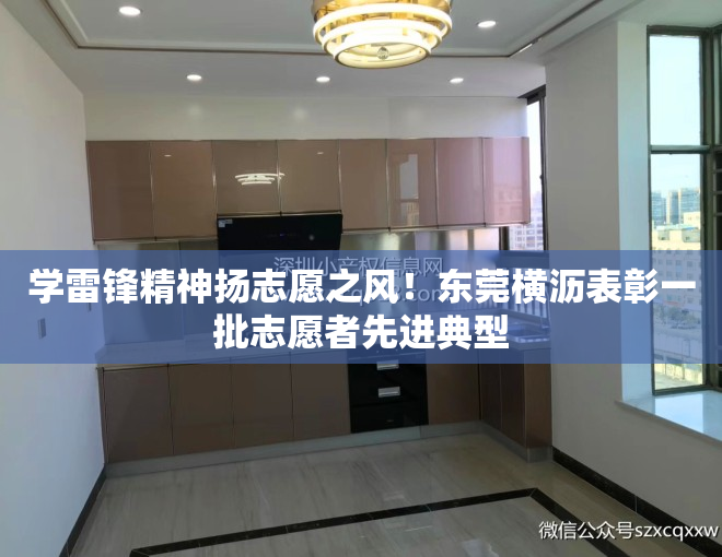 学雷锋精神扬志愿之风！东莞横沥表彰一批志愿者先进典型