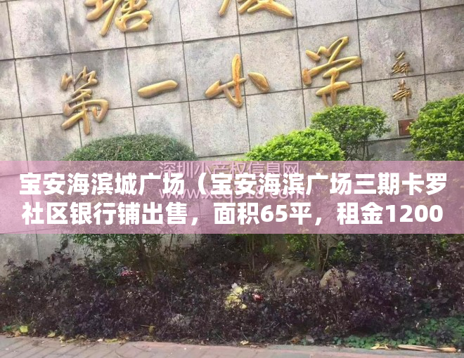 宝安海滨城广场（宝安海滨广场三期卡罗社区银行铺出售，面积65平，租金12000元月，出售价格490万各付，卖方税费48万，买方税费10万 资深圳商铺投资）