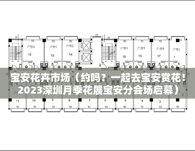 宝安花卉市场（约吗？一起去宝安赏花！2023深圳月季花展宝安分会场启幕）
