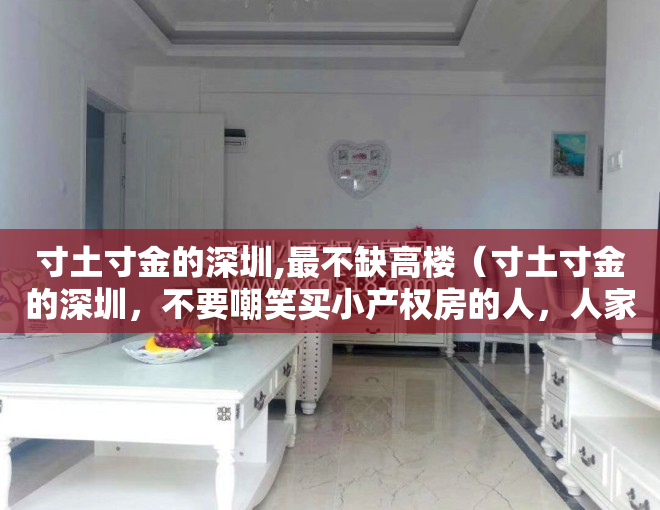 寸土寸金的深圳,最不缺高楼（寸土寸金的深圳，不要嘲笑买小产权房的人，人家过得挺好的）