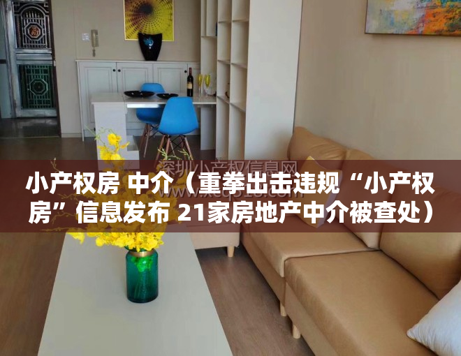 小产权房 中介（重拳出击违规“小产权房”信息发布 21家房地产中介被查处）