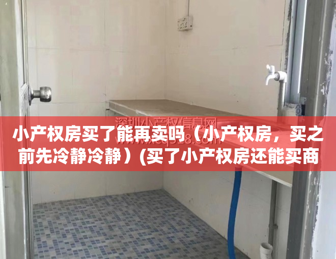 小产权房买了能再卖吗（小产权房，买之前先冷静冷静）(买了小产权房还能买商品房吗)