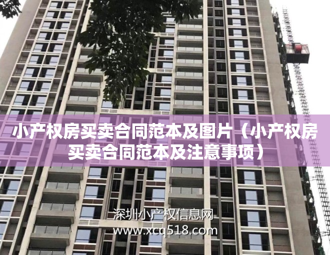 小产权房买卖合同范本及图片（小产权房买卖合同范本及注意事项）