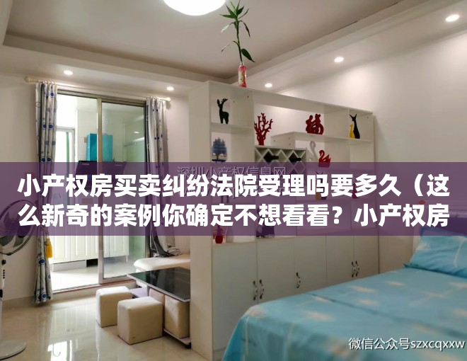 小产权房买卖纠纷法院受理吗要多久（这么新奇的案例你确定不想看看？小产权房买卖居然被判有效）