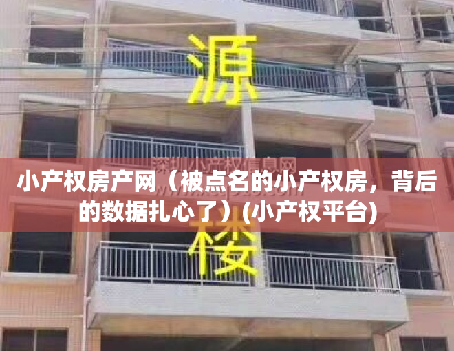 小产权房产网（被点名的小产权房，背后的数据扎心了）(小产权平台)